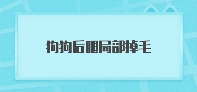 狗狗后腿局部掉毛