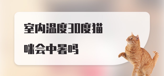 室内温度30度猫咪会中暑吗