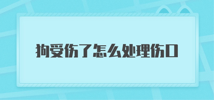 狗受伤了怎么处理伤口