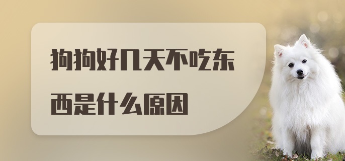 狗狗好几天不吃东西是什么原因