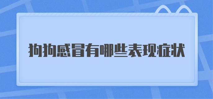 狗狗感冒有哪些表现症状