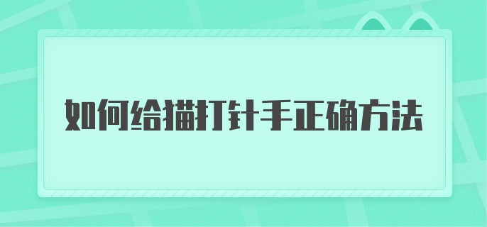 如何给猫打针手正确方法