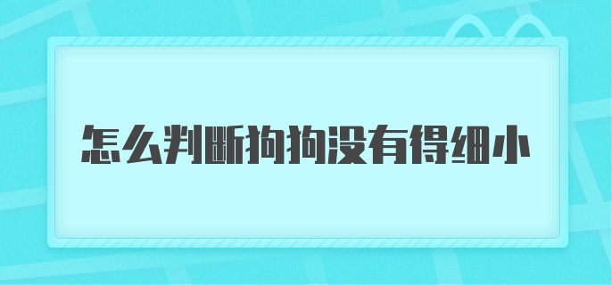 怎么判断狗狗没有得细小