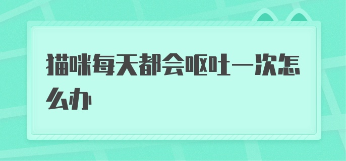 猫咪每天都会呕吐一次怎么办