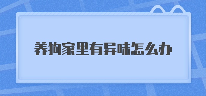 养狗家里有异味怎么办