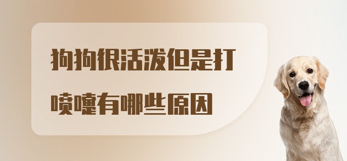 狗狗很活泼但是打喷嚏有哪些原因