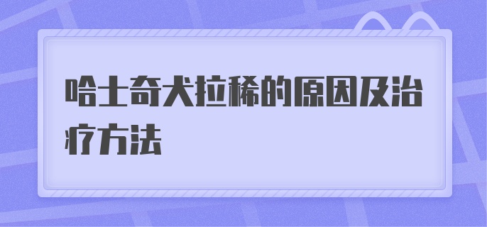 哈士奇犬拉稀的原因及治疗方法