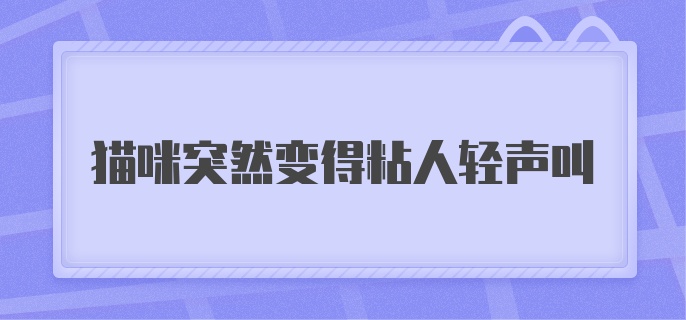 猫咪突然变得粘人轻声叫