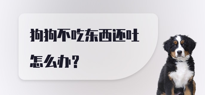 狗狗不吃东西还吐怎么办？