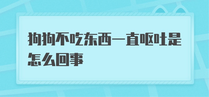 狗狗不吃东西一直呕吐是怎么回事