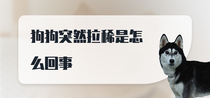 狗狗突然拉稀是怎么回事