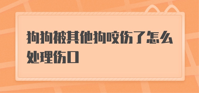 狗狗被其他狗咬伤了怎么处理伤口