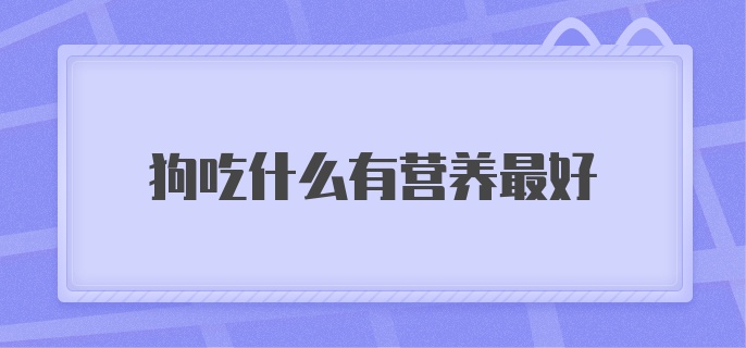 狗吃什么有营养最好