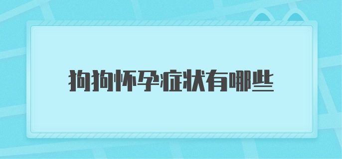 狗狗怀孕症状有哪些