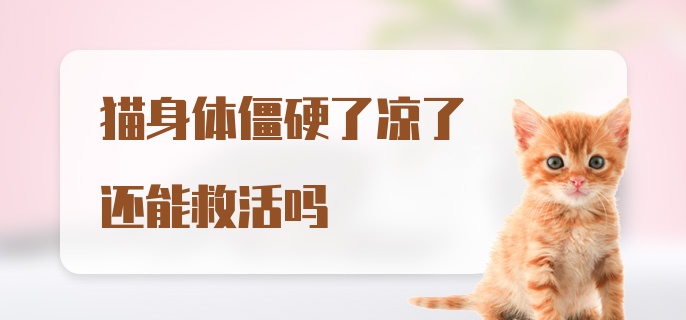 猫身体僵硬了凉了还能救活吗