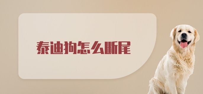 泰迪狗怎么断尾