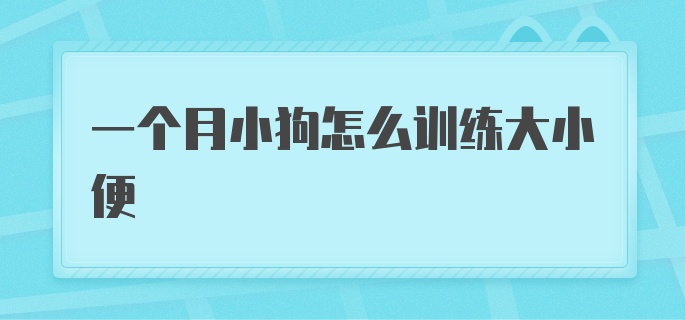 一个月的小狗怎么训练大小便？