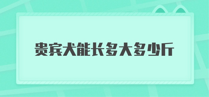 贵宾犬能长多大多少斤