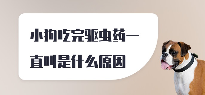 小狗吃完驱虫药一直叫是什么原因