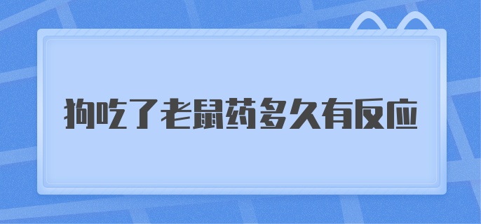 狗吃了老鼠药多久有反应