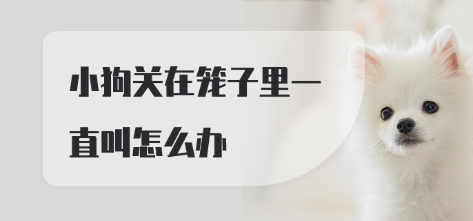 小狗关在笼子里一直叫怎么办