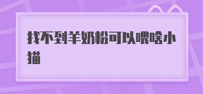 找不到羊奶粉可以喂啥小猫