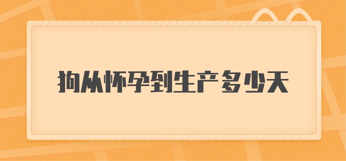 狗从怀孕到生产多少天