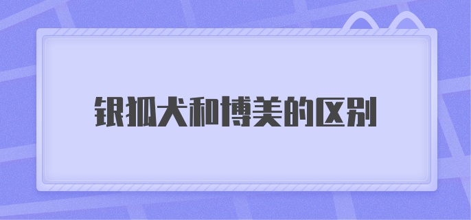 银狐犬和博美的区别