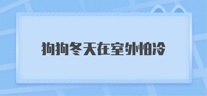 狗狗冬天在室外怕冷