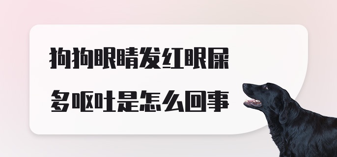 狗狗眼睛发红眼屎多呕吐是怎么回事