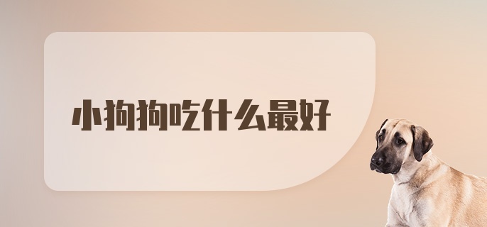 小狗狗吃什么最好