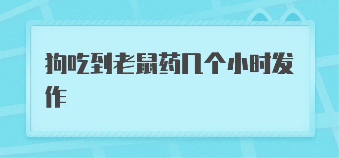 狗吃到老鼠药几个小时发作