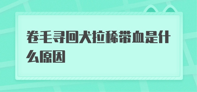 卷毛寻回犬拉稀带血是什么原因