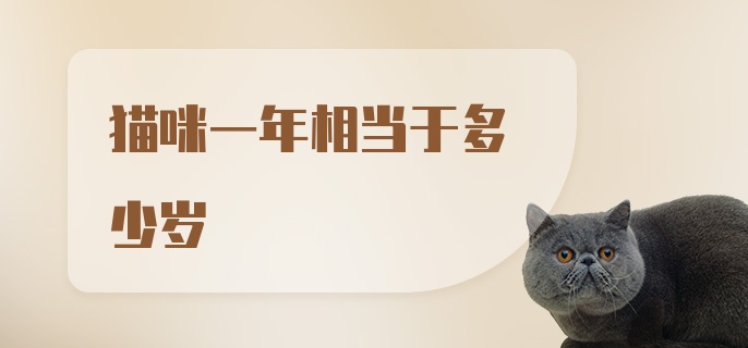 猫咪一年相当于多少岁