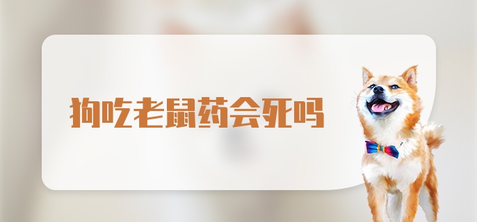 狗吃老鼠药会死吗