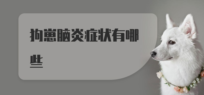 狗崽脑炎症状有哪些