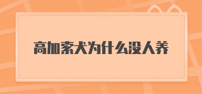 高加索犬为什么没人养