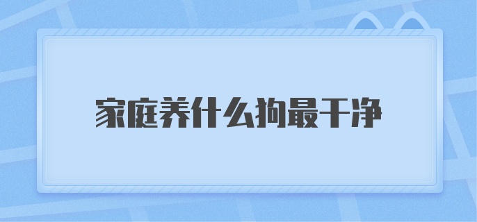 家庭养什么狗最干净