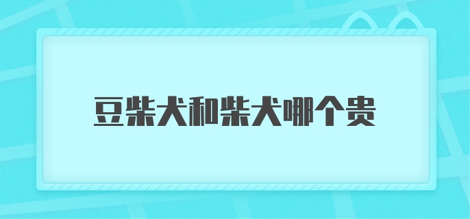 豆柴犬和柴犬哪个贵