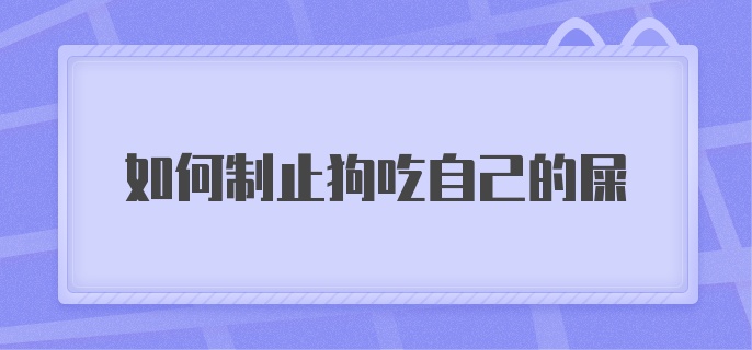 如何制止狗吃自己的屎