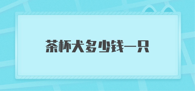 茶杯犬多少钱一只