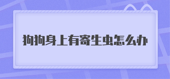 狗狗身上有寄生虫怎么办?