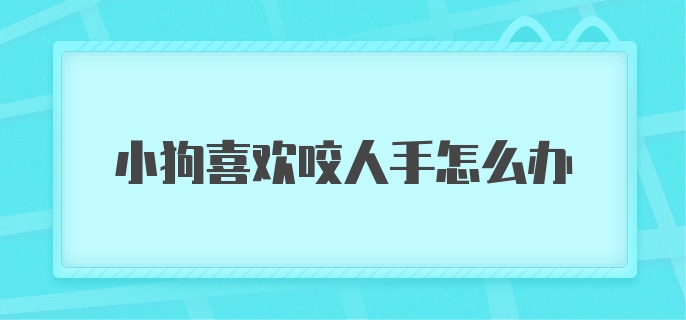 小狗喜欢咬人手怎么办