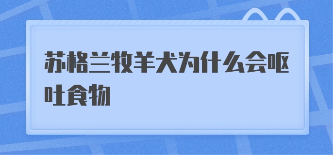 苏格兰牧羊犬为什么会呕吐食物