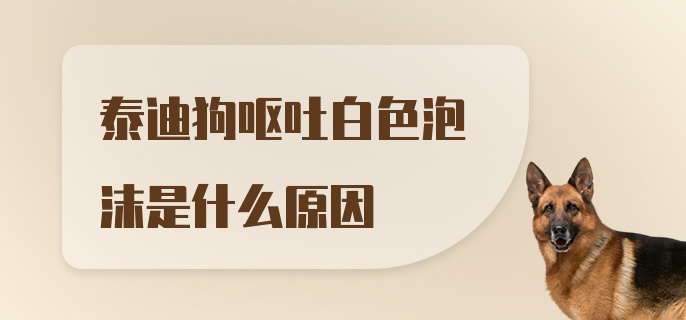 泰迪狗呕吐白色泡沫是什么原因