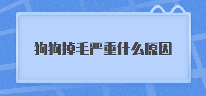 狗狗掉毛严重什么原因