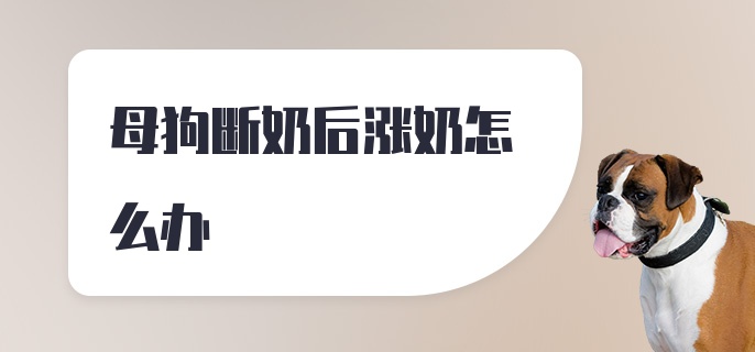 母狗断奶后涨奶怎么办