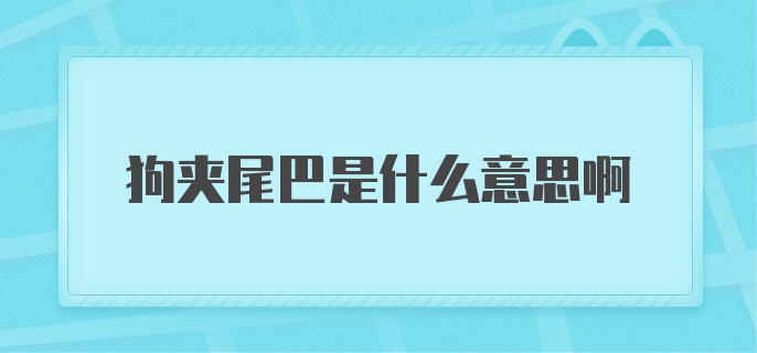 狗夹尾巴是什么意思啊