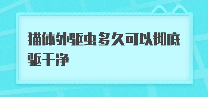 猫体外驱虫多久可以彻底驱干净