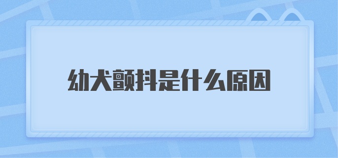 幼犬颤抖是什么原因